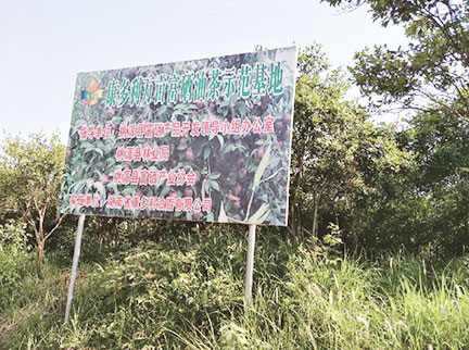 腾龙(中国集团)官方网站