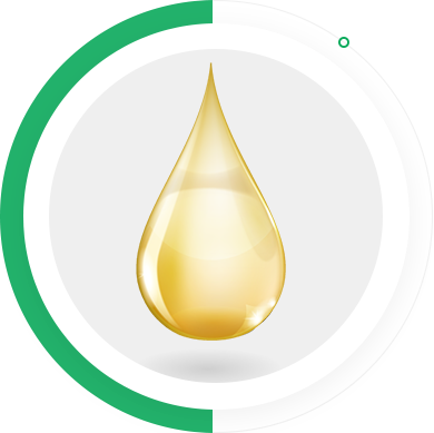 腾龙(中国集团)官方网站