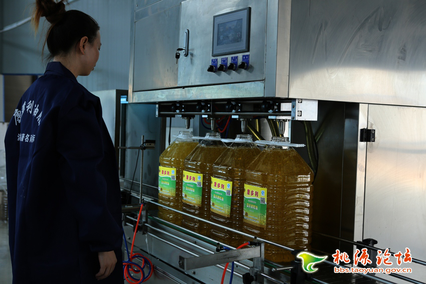 腾龙集团,油茶莳植生产加工销售,植物油莳植生产加工销售