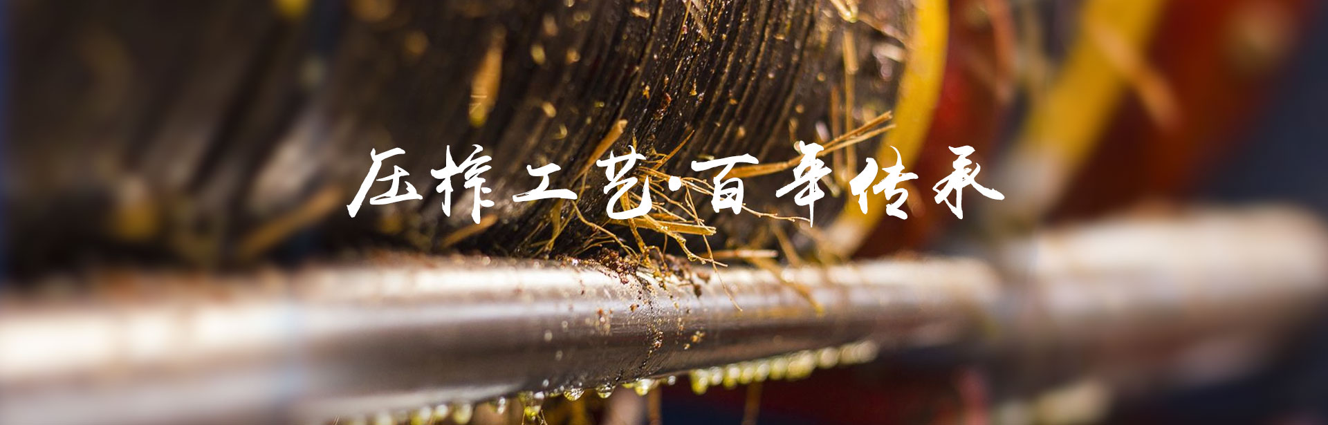 腾龙集团_油茶莳植生产加工销售|植物油莳植生产加工销售