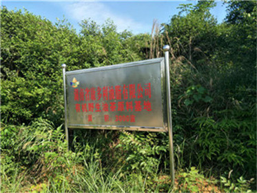 腾龙集团,油茶莳植生产加工销售,植物油莳植生产加工销售