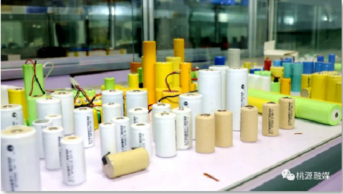 腾龙集团,油茶莳植生产加工销售,植物油莳植生产加工销售