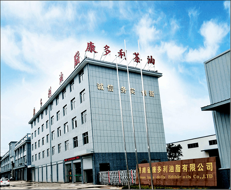 腾龙(中国集团)官方网站